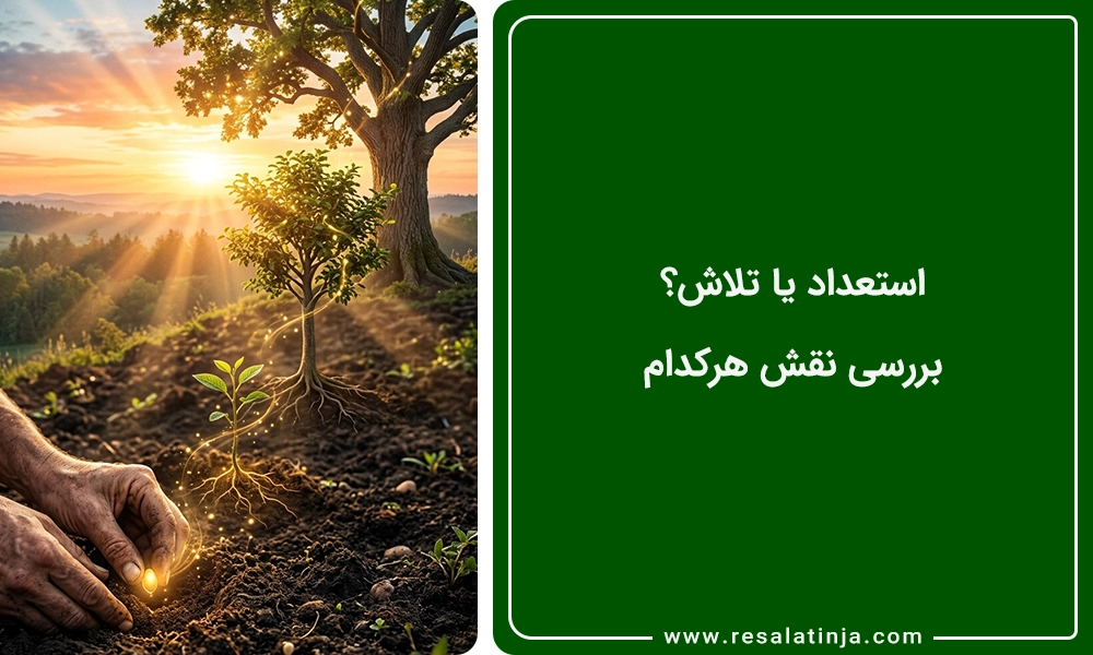 استعداد یا تلاش؟